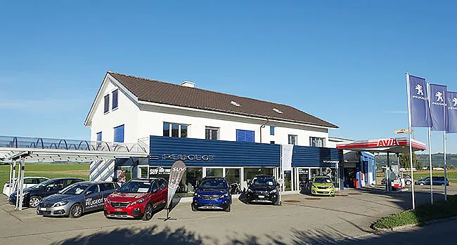 Wyland Garage GmbH